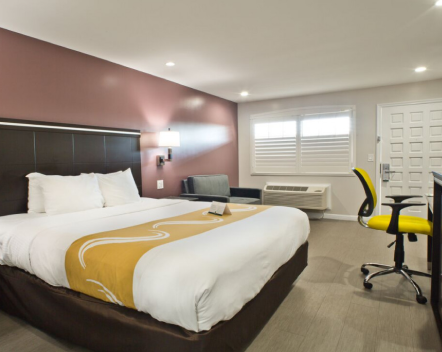 Elegant Space for Peaceful Stays