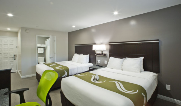 Bay Area Inn & Suites - 2 Queen Bed - Non Smoking