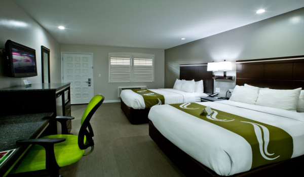 Bay Area Inn & Suites - Work Desk In 2 Queen Bed - Non Smoking